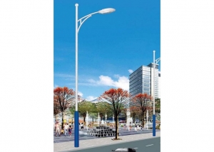 江西南昌国产水蜜桃视频展示
